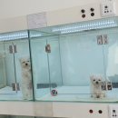 Dog Salon 이미지