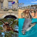 기린03-1 | 시드니 타롱가 동물원 입장권 예약 페리 타는 법 쿼카 위치