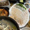 [은평/녹번동/불광역] 회 찐맛집, 대방어 찐찐맛집 불광 기쁨수산 솔직후기