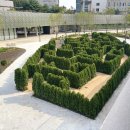 금나래중앙공원 이미지