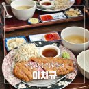 쿡123 | 광화문 맛집 점심 식사하기 좋은 이치규 광화문점 식사 후기 | 일본규카츠