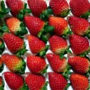 장희농장 이미지