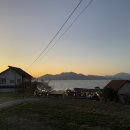 올랑고디또 이미지