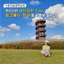 오이도기념공원 | 시흥 갯골생태공원 코스모스 핑크뮬리 억새 꽃구경 실시간 후기