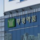 부광유통 이미지
