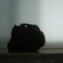 양석농장 이미지