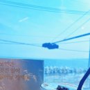 커피(COFFEE311)