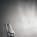 미드라쉬정형외과의원 이미지