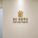 리센츠 스타 동물병원 이미지