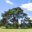 화령중학교 이미지