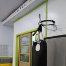 신성태권도장 이미지