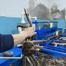 천안오성초등학교 | 내돈내산 천안 킹크랩 맛집 ‘신화수산활어회센타두정점’ 수율 좋은 킹크랩 후기