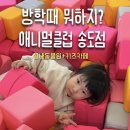 강아지맘마연구소 | 두번째 방문 애니멀클럽 송도점 + 추가 정보, 추천밥집