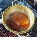 토토멍 애견풀빌라 이미지