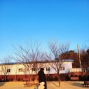 도그앤미 이미지