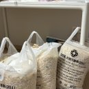 세븐일레븐 이동터미널점 | 돌아온 일상, 운동일지 5 + 도쿄여행