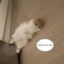 빵부장제빵소