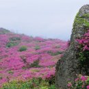 초암산