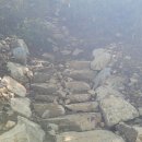 이진숙산부인과의원 | 2025년 09월 19일 금요일 아침 세상소식