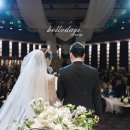 데이즈스냅 이미지