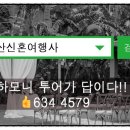 일등여행사 이미지