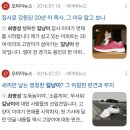 새덕후 저격한 40년 새 전문가 이미지