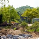 강촌강변오토캠핑장 이미지