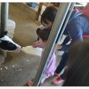 모산목장 이미지