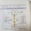 웹스터 이미지