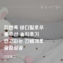 집앤콕 바디필로우 롱쿠션 솔직후기 안고자는 긴베개로 꿀잠성공