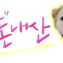 텐퍼센트커피창원마린애시앙점