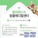 토베스트 동물병원 이미지