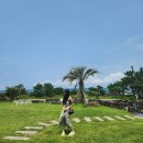 경산시청별관건너 (옥외1) | 제주 구좌읍 바다가보이는 카페 델문도 김녕점 오션뷰 한적하고 좋음