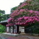 계룡농장 이미지