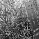 수분령휴게소 이미지