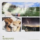 강우목장 네이버블로그