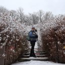 대야미역 이미지