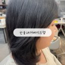 (주)한올 | [안양역 미용실] 한올헤어메이크업 - 곱슬모도 차분하게, 윤기나는 크리스탈 매직셋팅 만족한 후기💇‍♀️