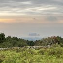 탐라목장 이미지