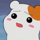 이지세탁 이미지