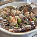 거제 풀빌라 카나리아 | 거제 여행 코스 추천 「요트투어」 카나리아147요트…거제맛집 통영맛집 추천