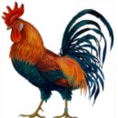 계 이미지