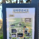 천년나무작은도서관 | 국립경주박물관 신라천년서고 도서관~