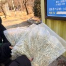 영업목장 | 서울 근교 겨울 갈만한곳 양평 가성비 좋은 양떼목장 얼음썰매장