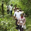 태기산치유마을 이미지