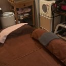 (주)더블레스 산후조리원 이미지