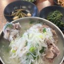고산엉알 | 제주 한경면 맛집 진짜 제주 도민 맛집 비금식당 내돈내산