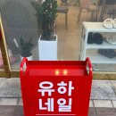 [대구/동구]대구 동구 율하동네일 원톤 이달의아트 추천 유하네일