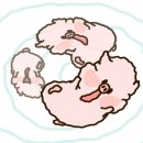 일동해물국밥 - 포천시 수입로 70 | 일동해물국밥