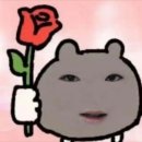 갔지...시험 2일 앞두고 르세라핌 월드투어 EASY CRAZY HOT 후기&amp;인스파이어 아레나 311구역 B열 후기